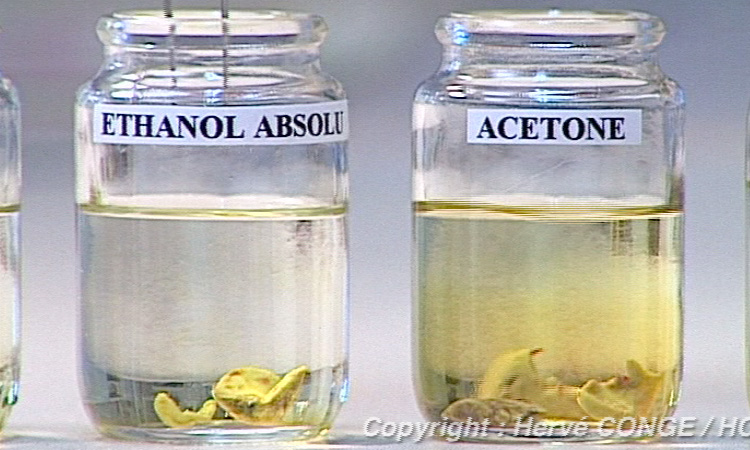 La fabrication des préparations microscopiques - 7mn 39s